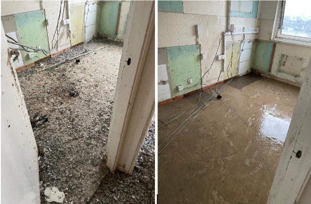 Royal Festival Hall signage bird proofing case study