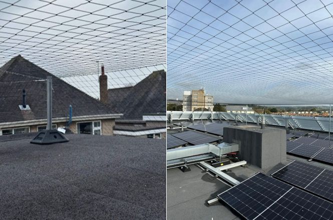 Environmentally responsible pest management